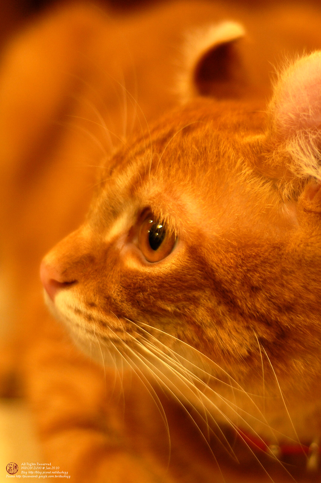 DSC_1272.jpg