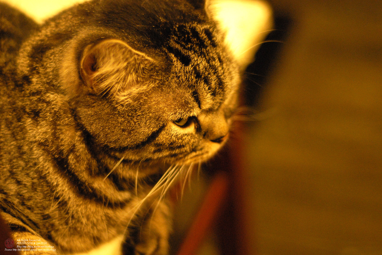 DSC_1289.jpg