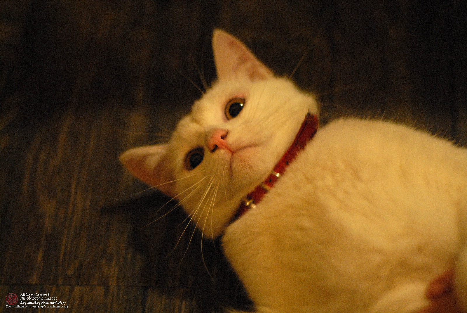 DSC_1292.jpg