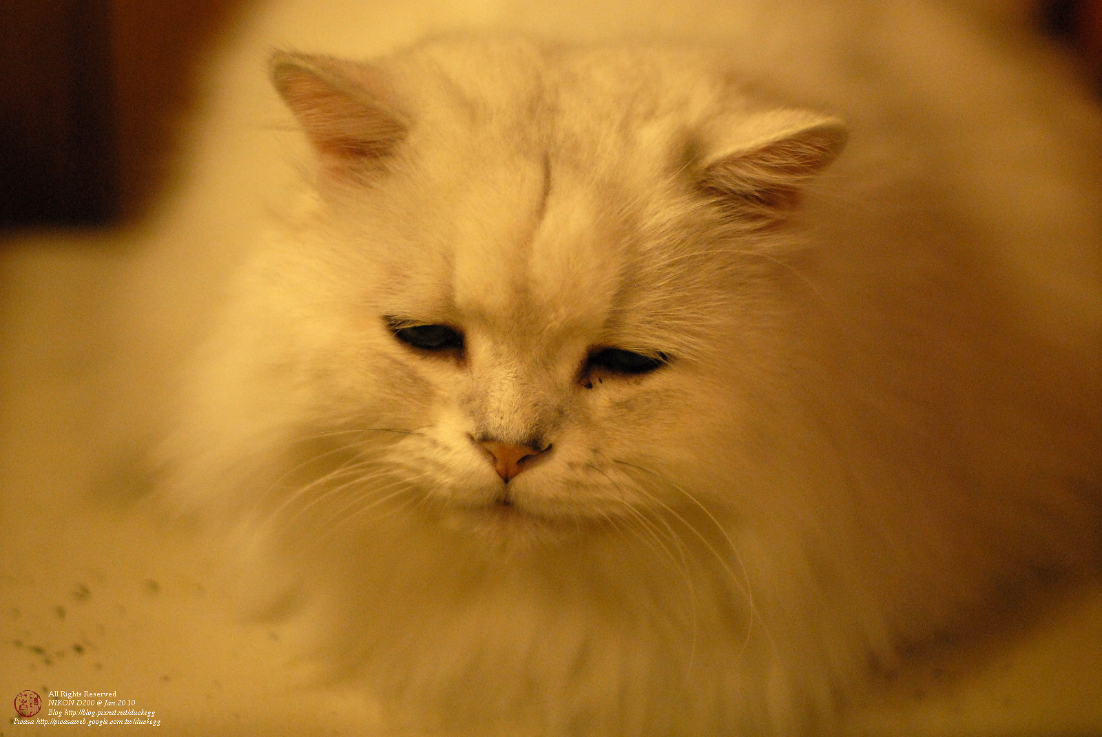DSC_1304.jpg