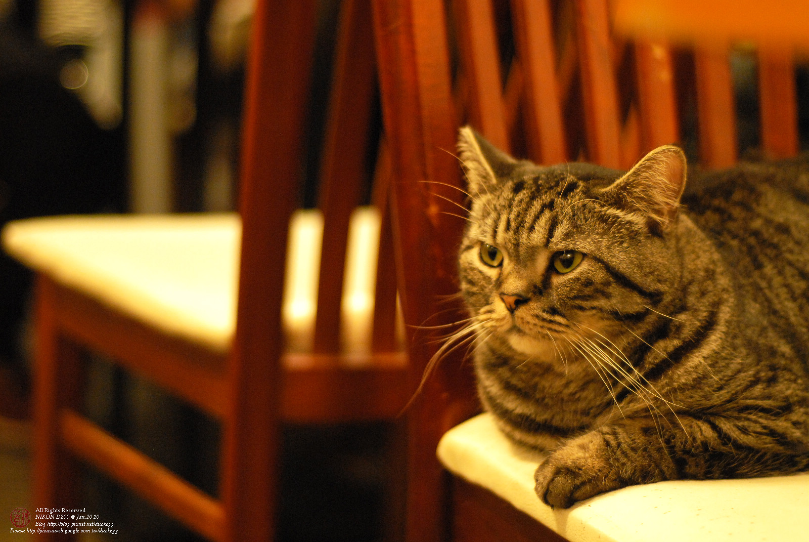 DSC_1306.jpg
