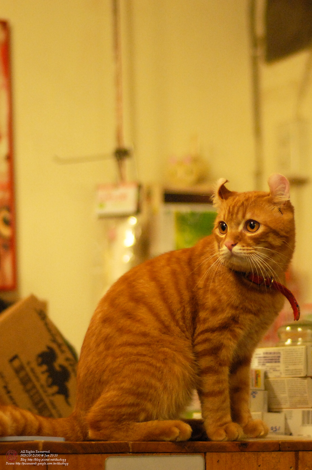 DSC_1321.jpg