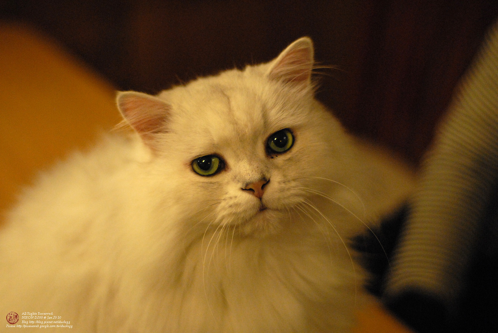 DSC_1325.jpg