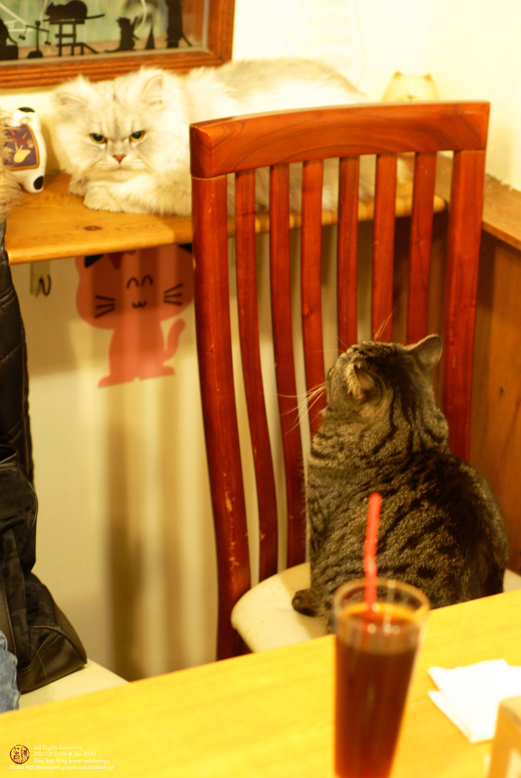 DSC_1340.jpg