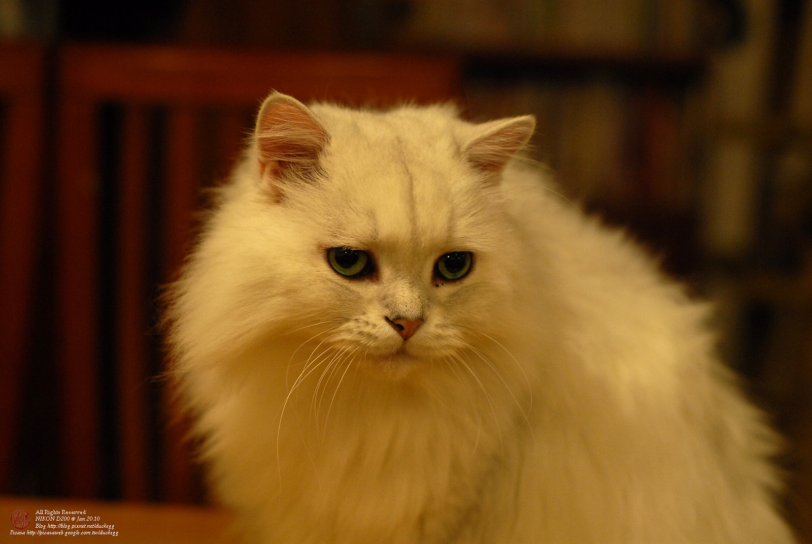 DSC_1348.jpg