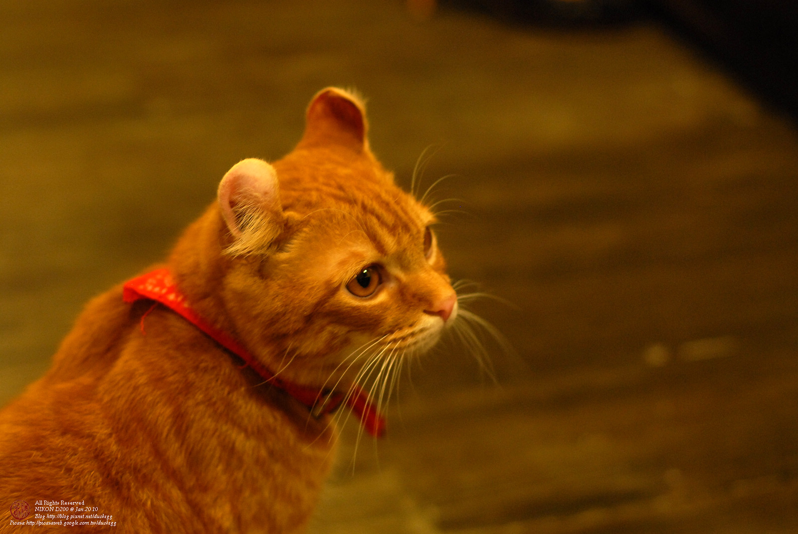DSC_1357.jpg