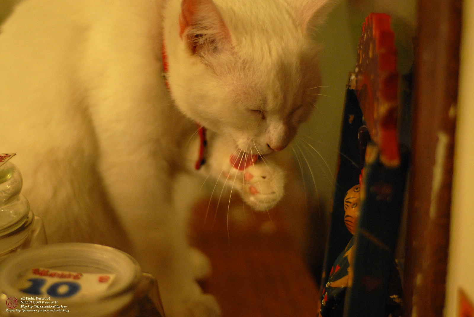 DSC_1378.jpg
