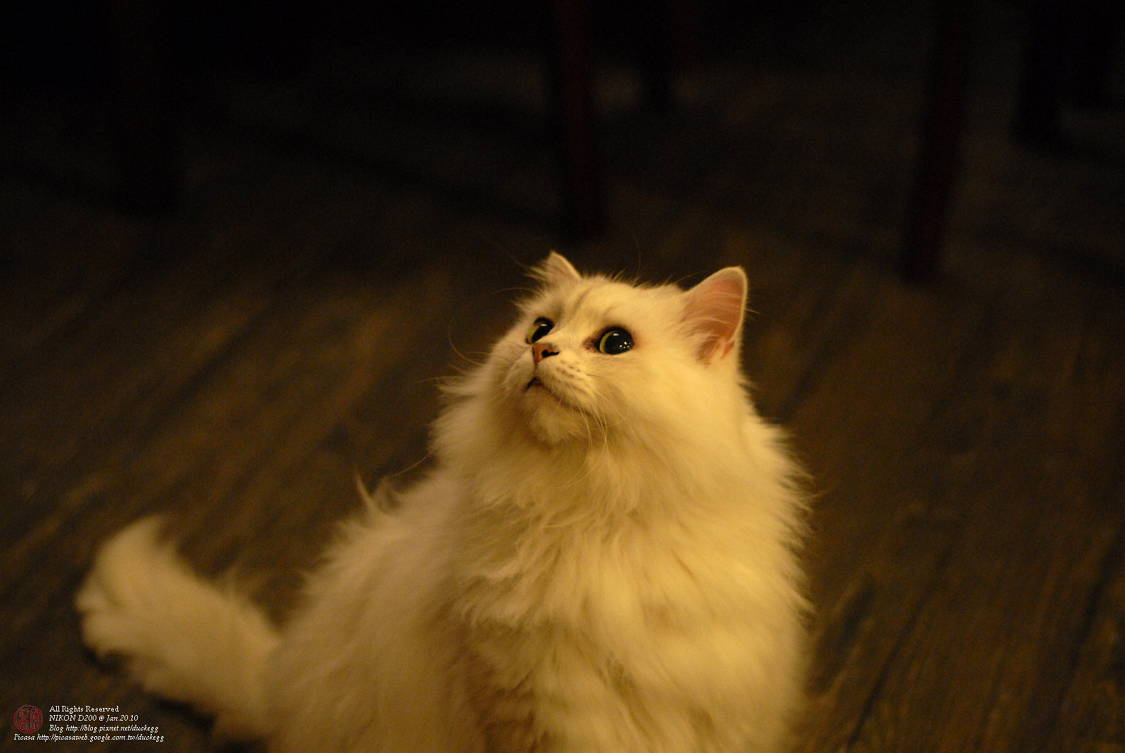 DSC_1400.jpg
