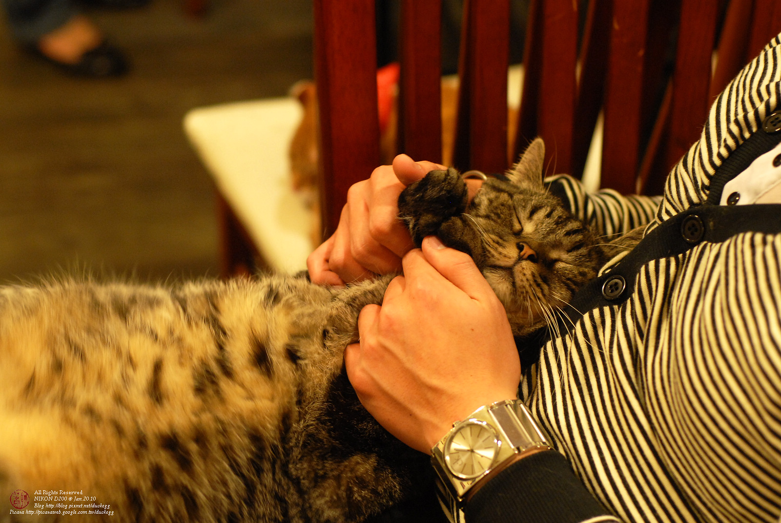 DSC_1411.jpg