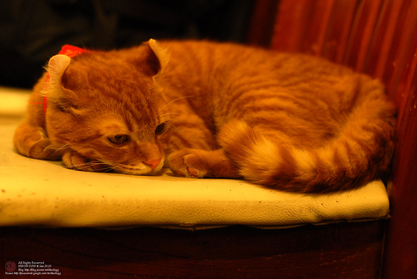 DSC_1421.jpg