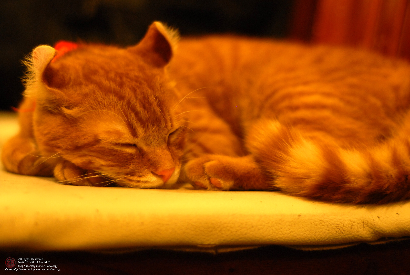 DSC_1425.jpg
