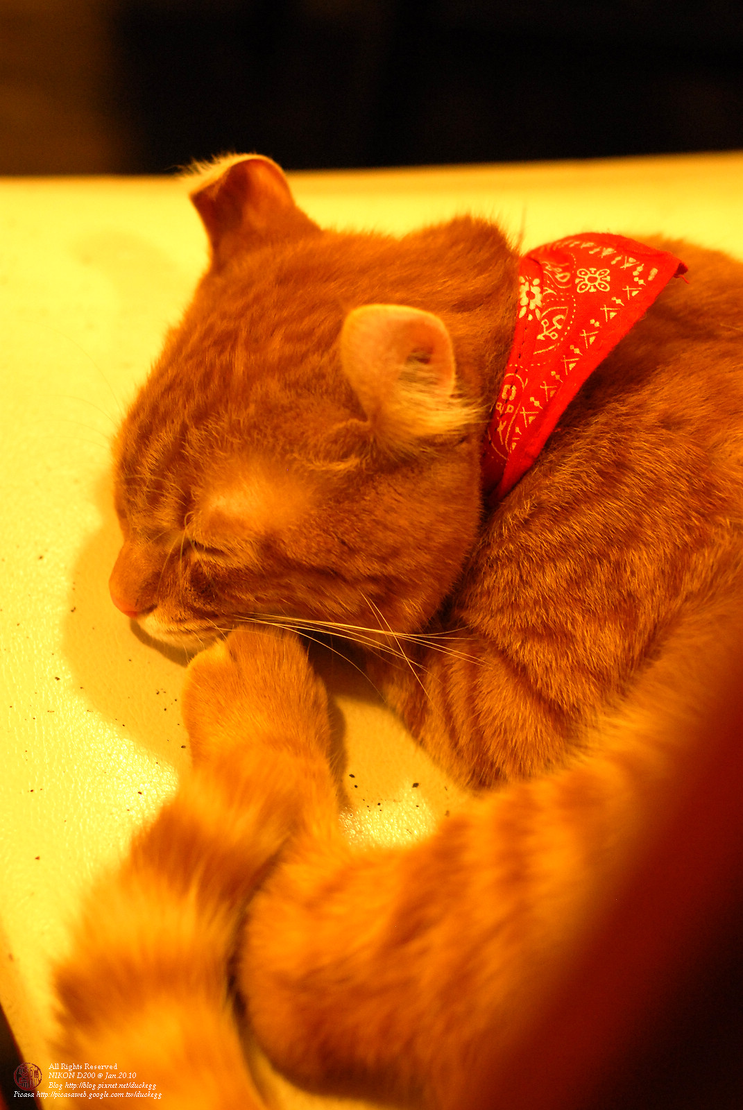 DSC_1436.jpg