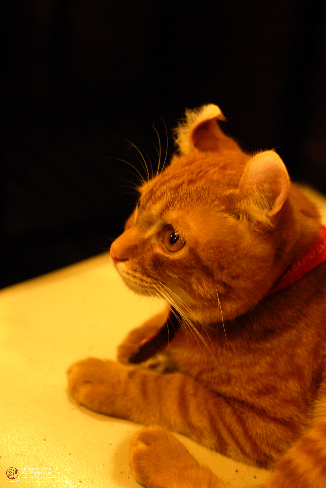 DSC_1439.jpg