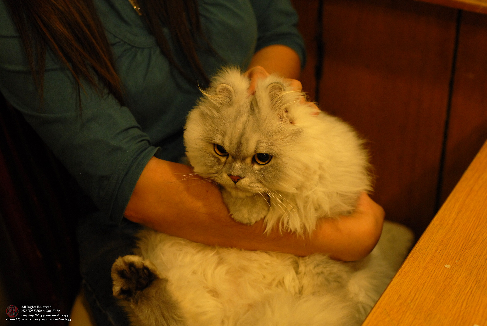 DSC_1442.jpg