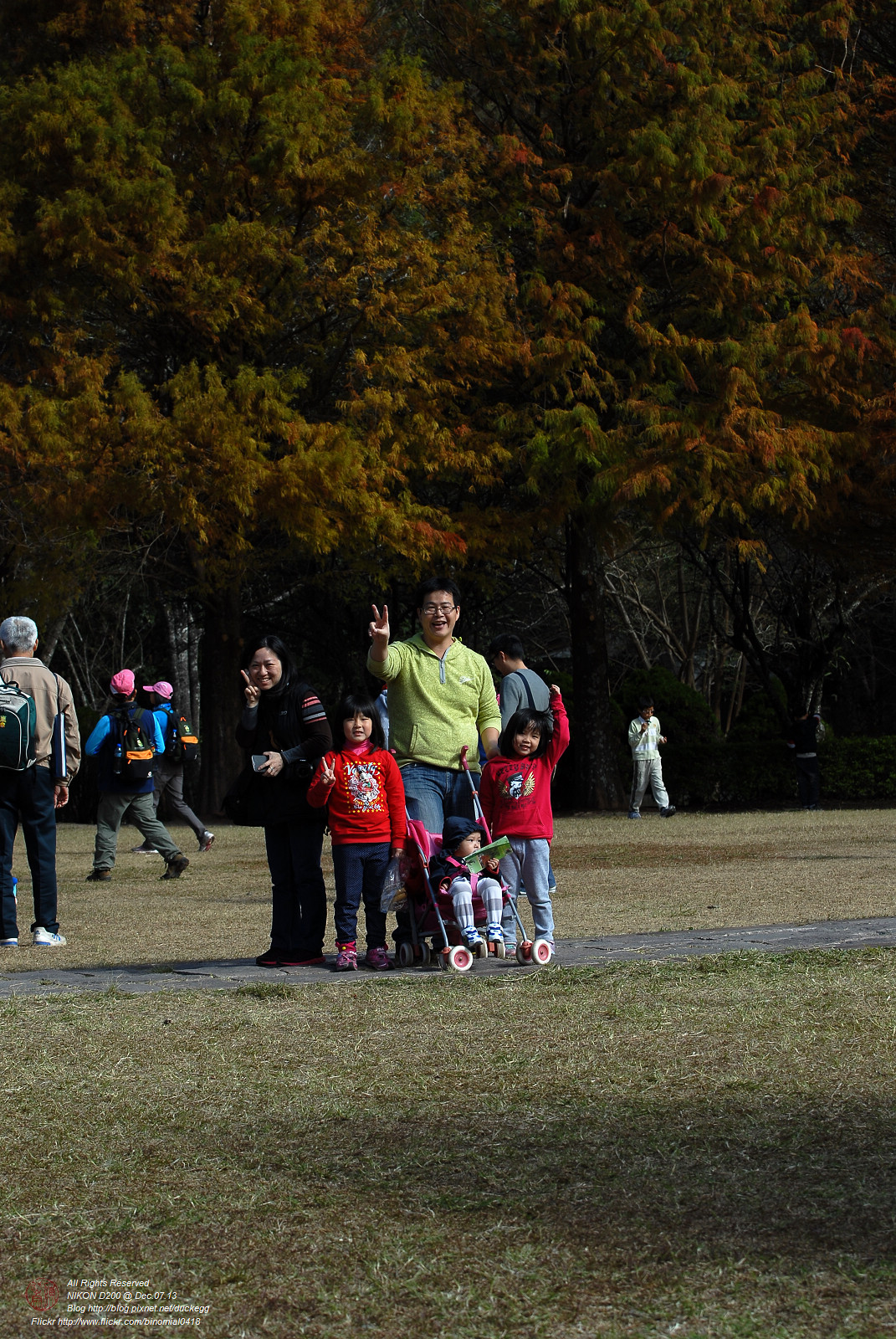 DSC_8486.jpg
