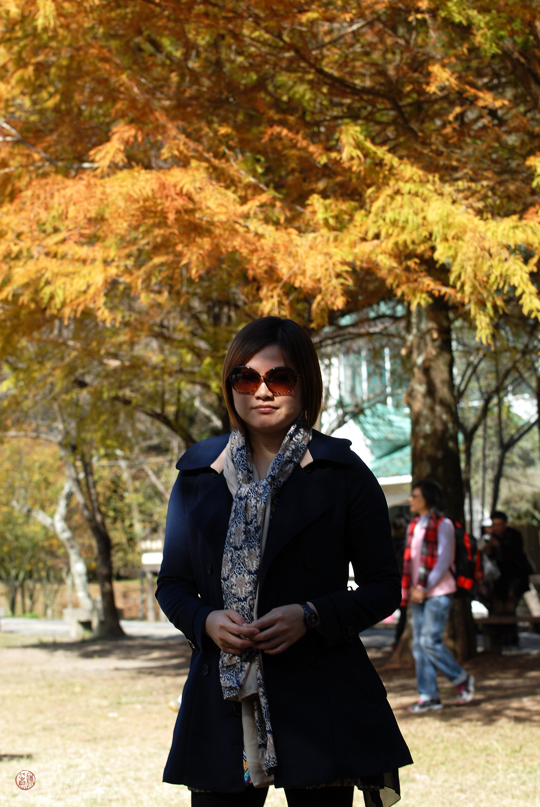 DSC_8499.jpg