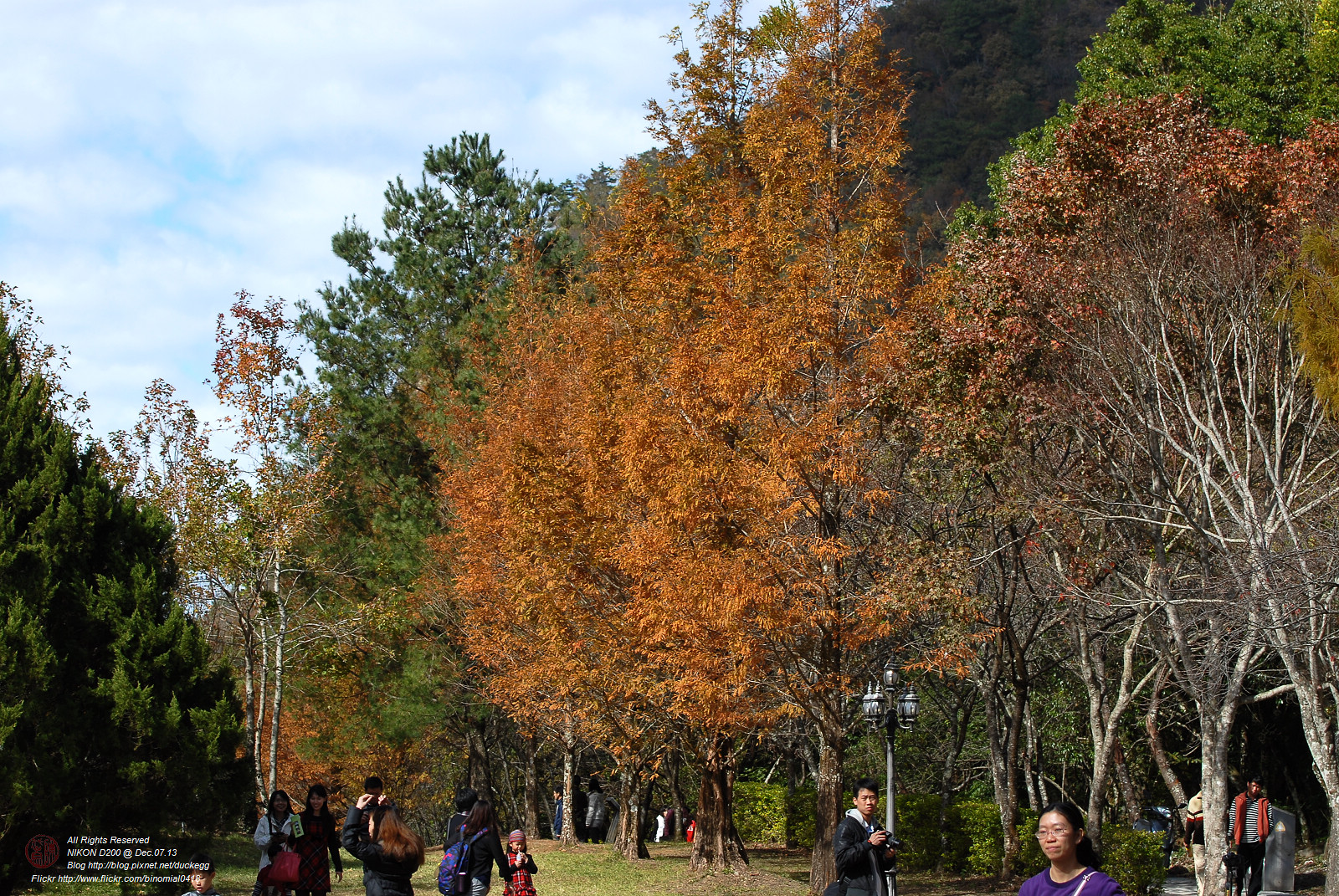 DSC_8505.jpg