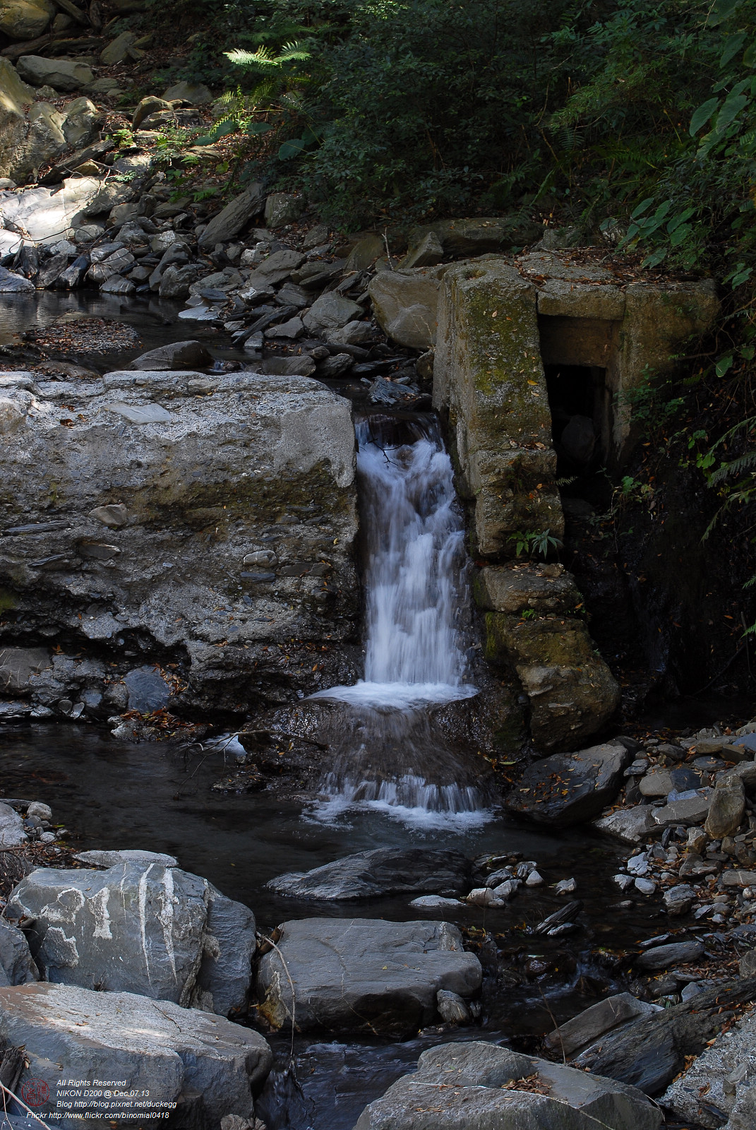 DSC_8612.jpg