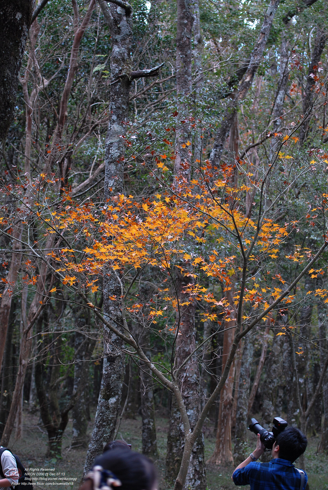DSC_8662.jpg