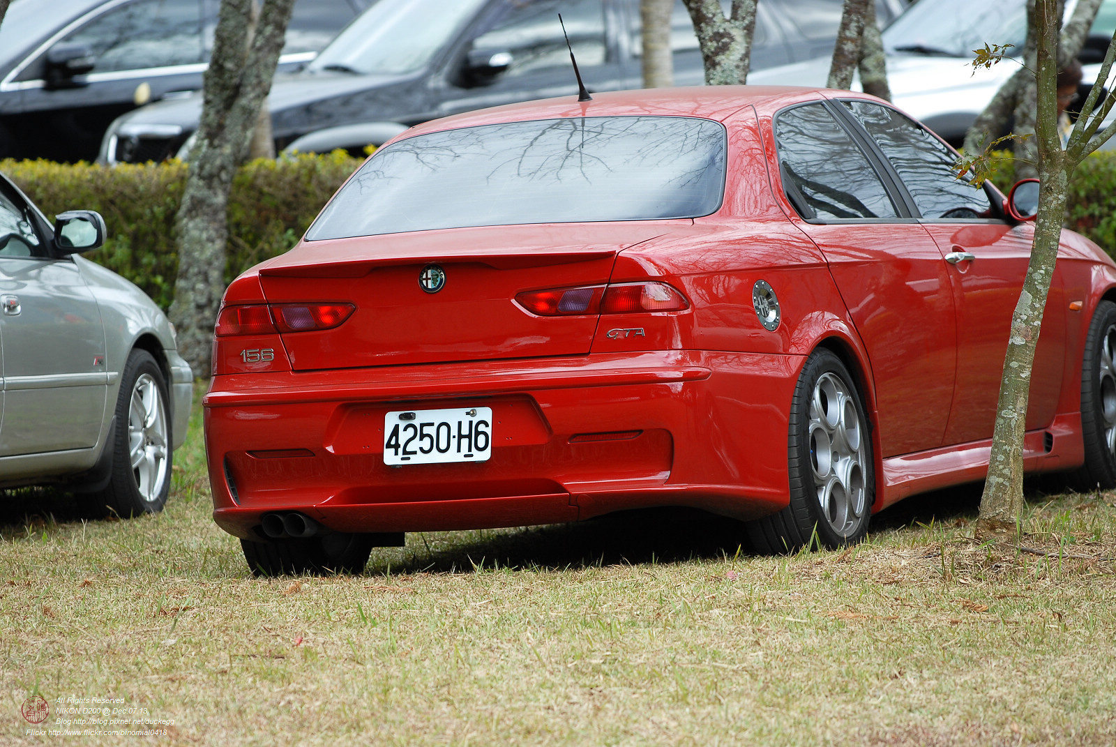 DSC_8678.jpg