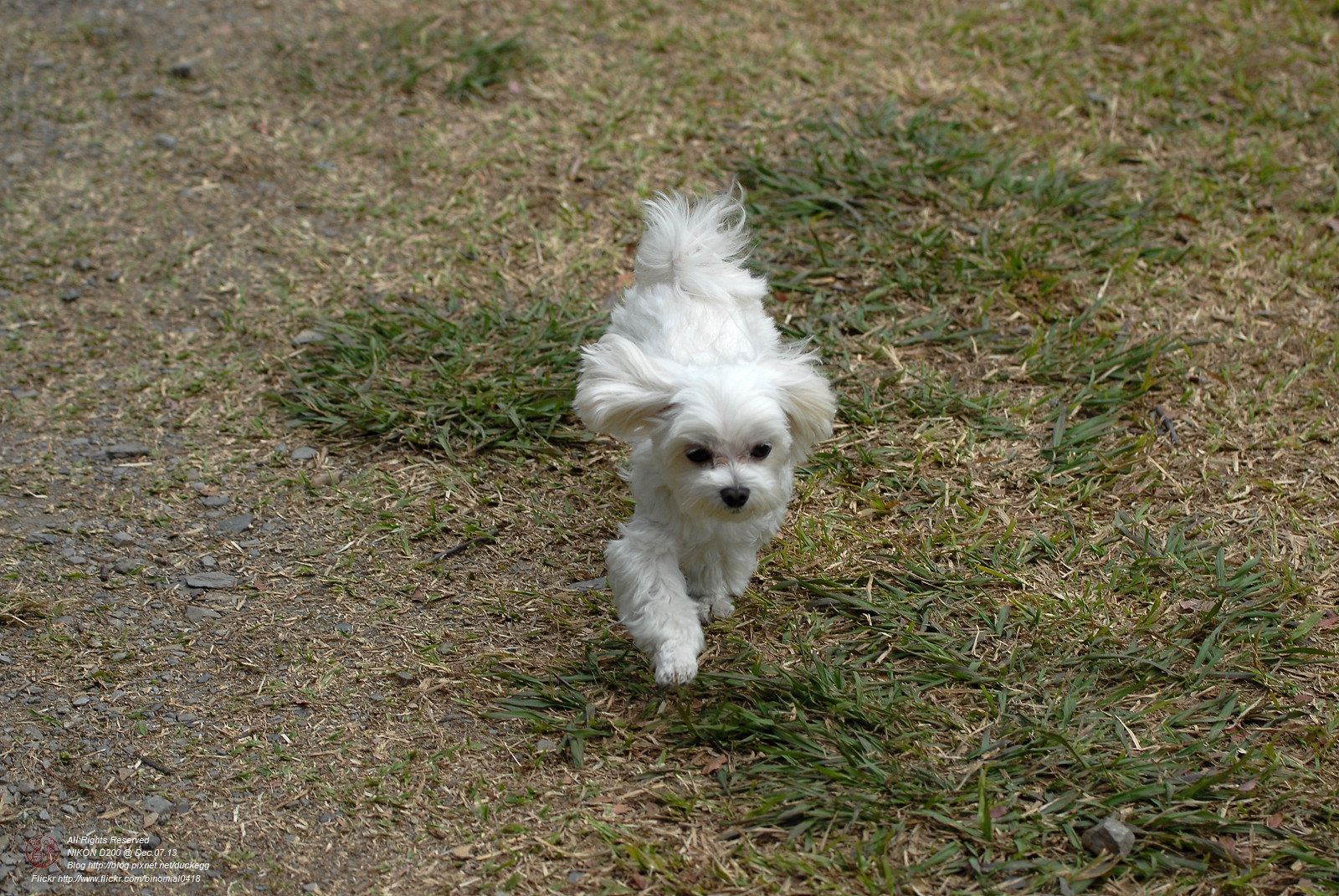 DSC_8682.jpg