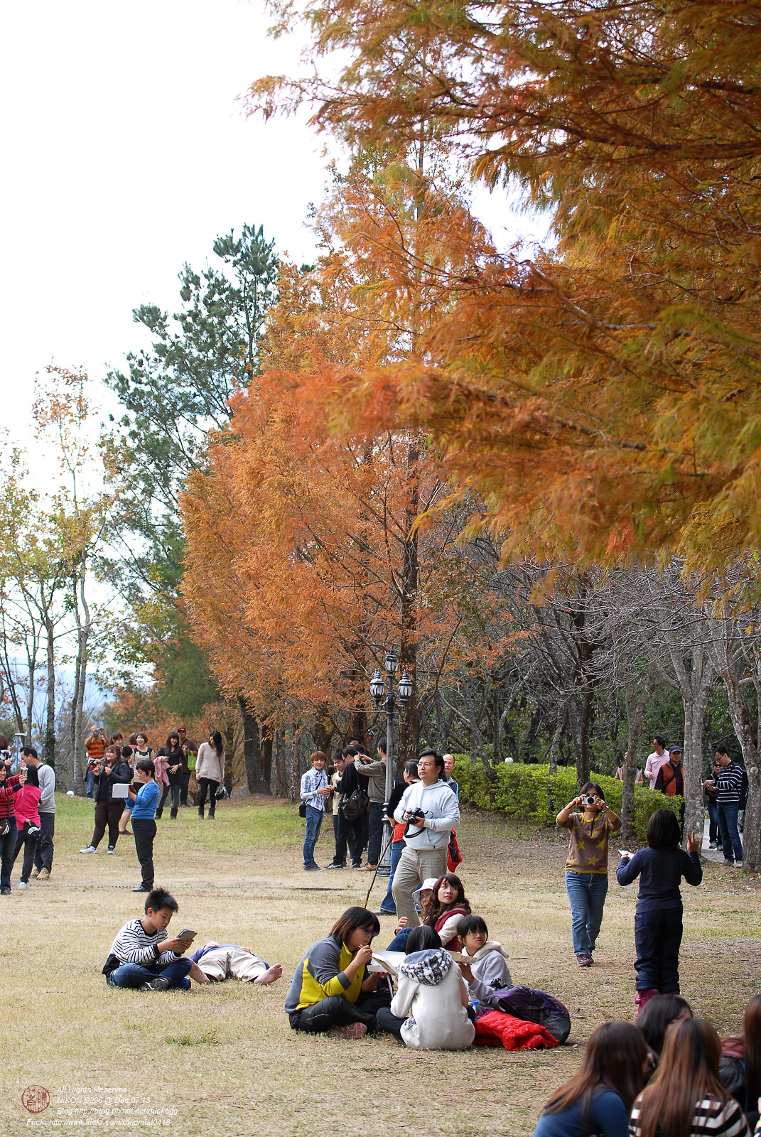 DSC_8685.jpg
