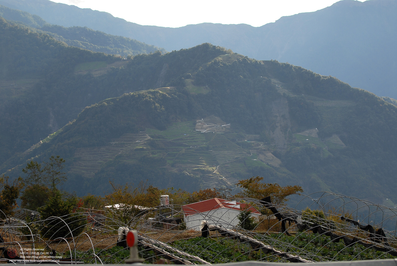 DSC_8705.jpg