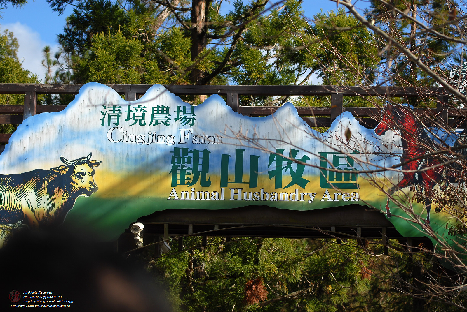DSC_8712.jpg