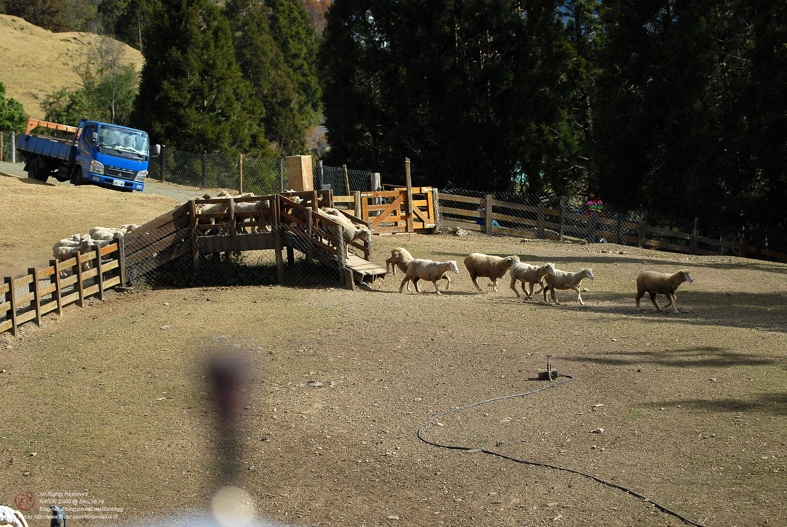 DSC_8721.jpg