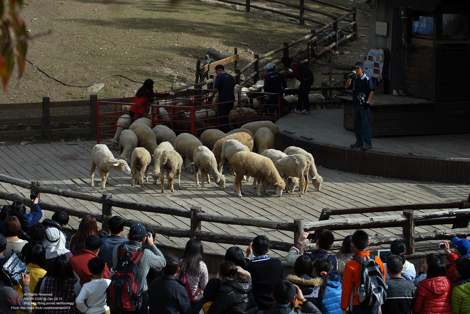DSC_8738.jpg