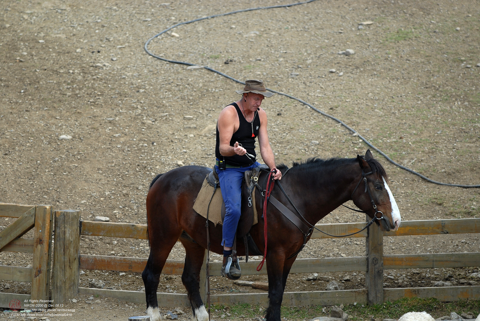 DSC_8744.jpg