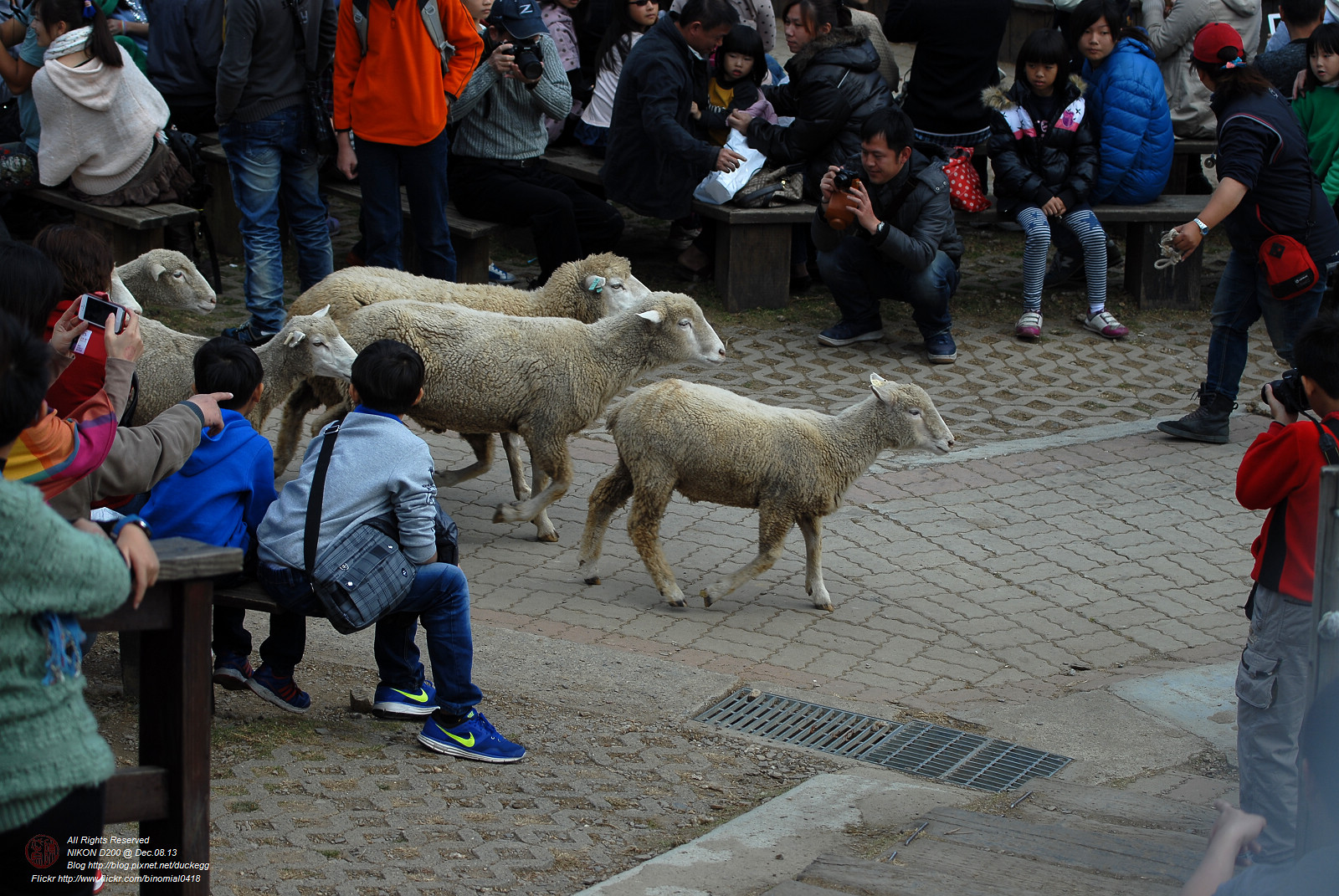 DSC_8754.jpg
