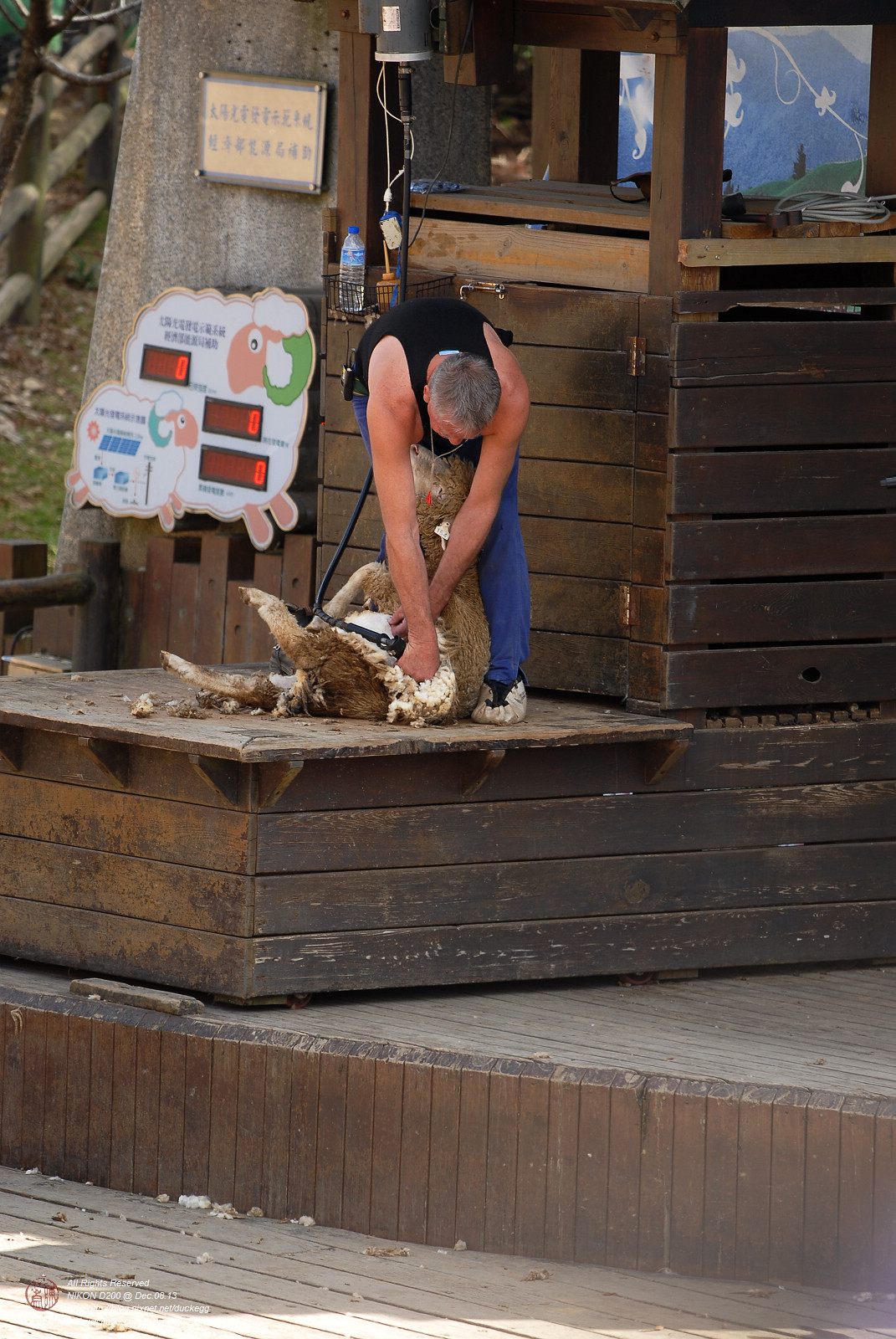 DSC_8867.jpg