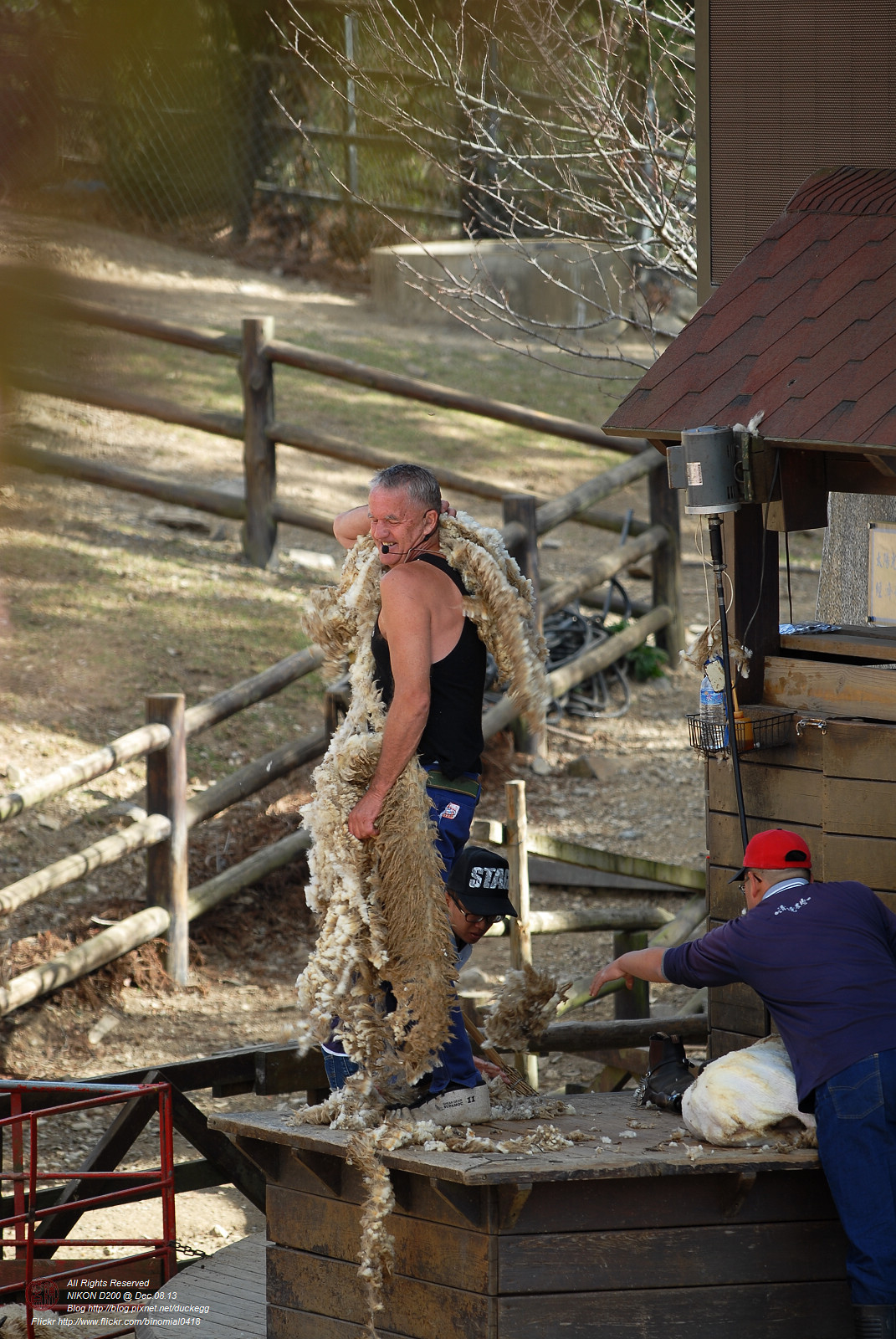 DSC_8899.jpg