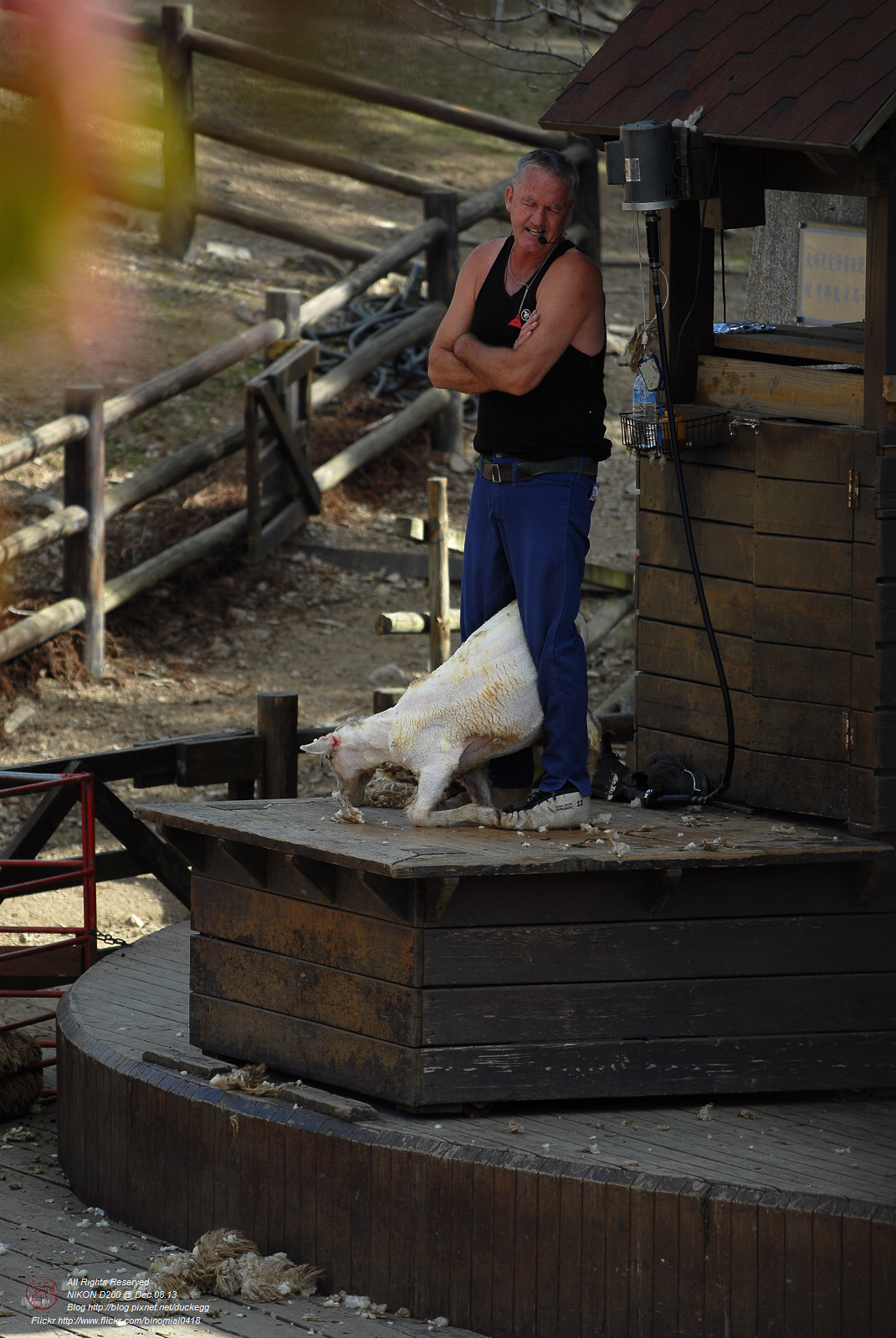 DSC_8904.jpg
