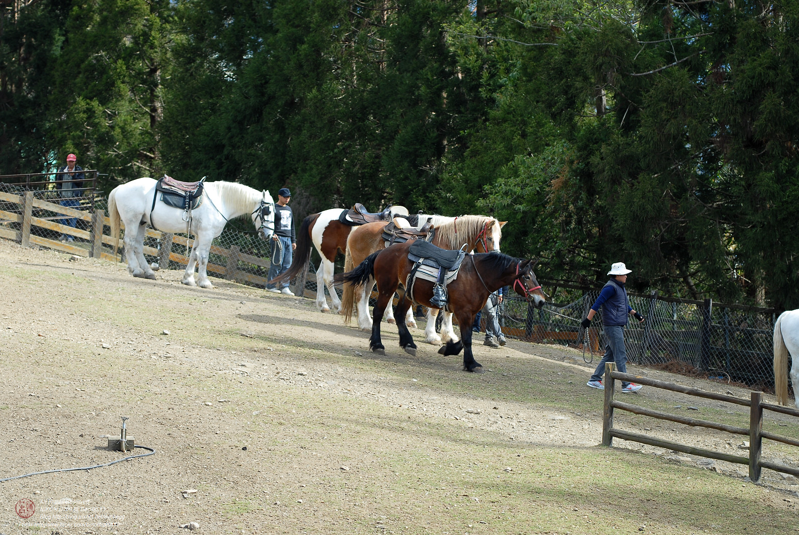 DSC_8912.jpg