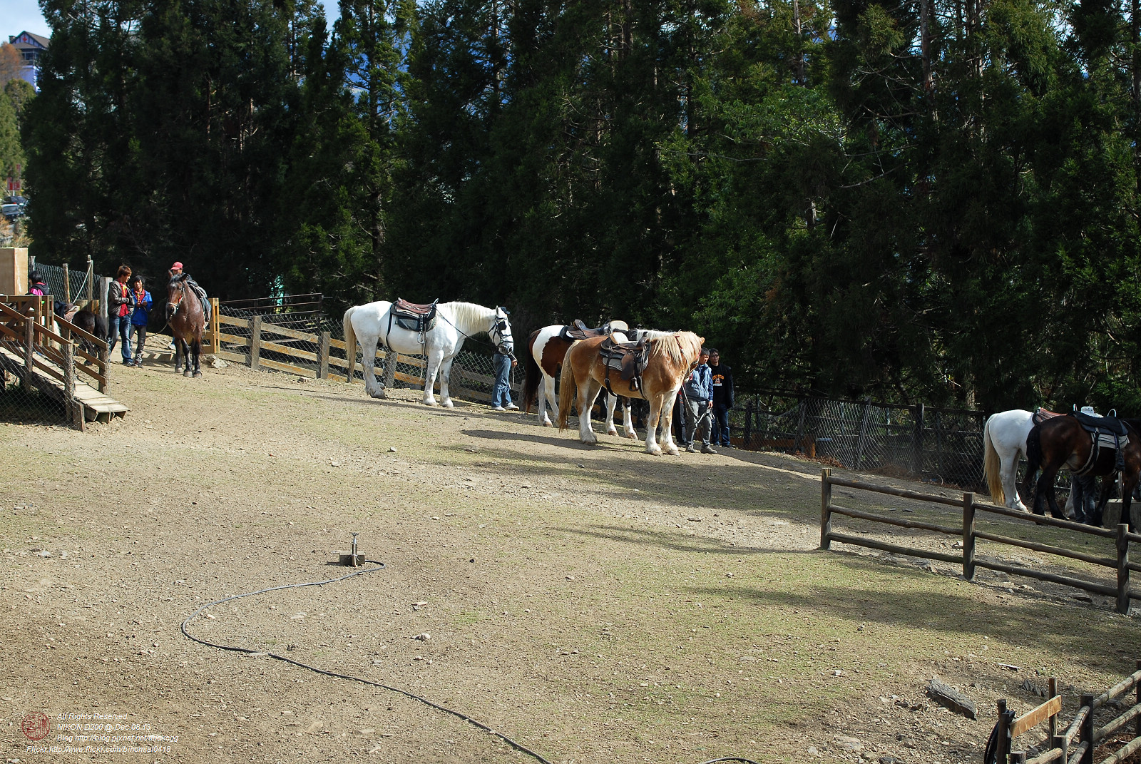 DSC_8916.jpg