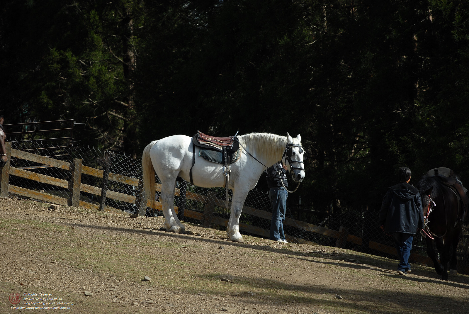 DSC_8922.jpg