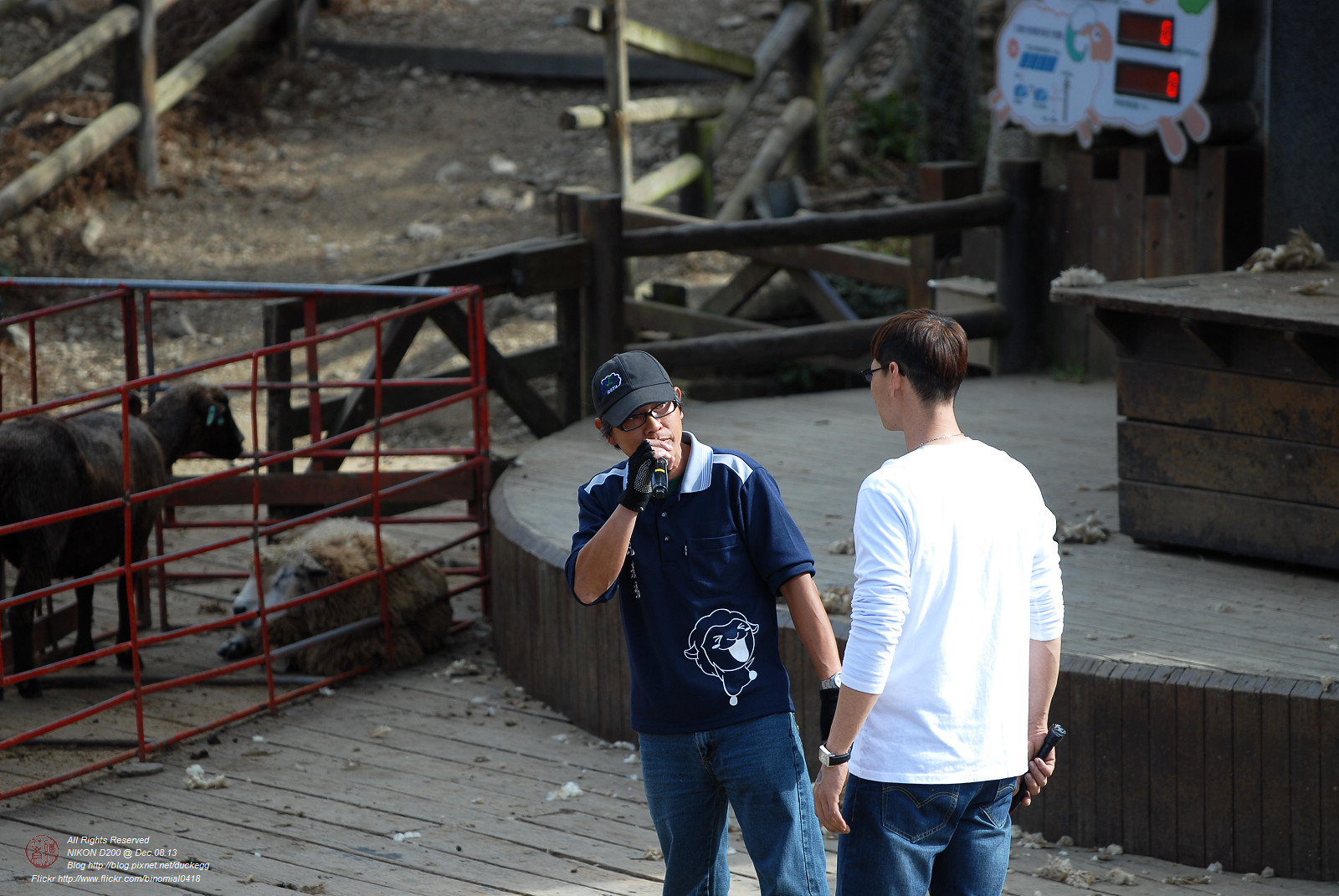 DSC_8926.jpg