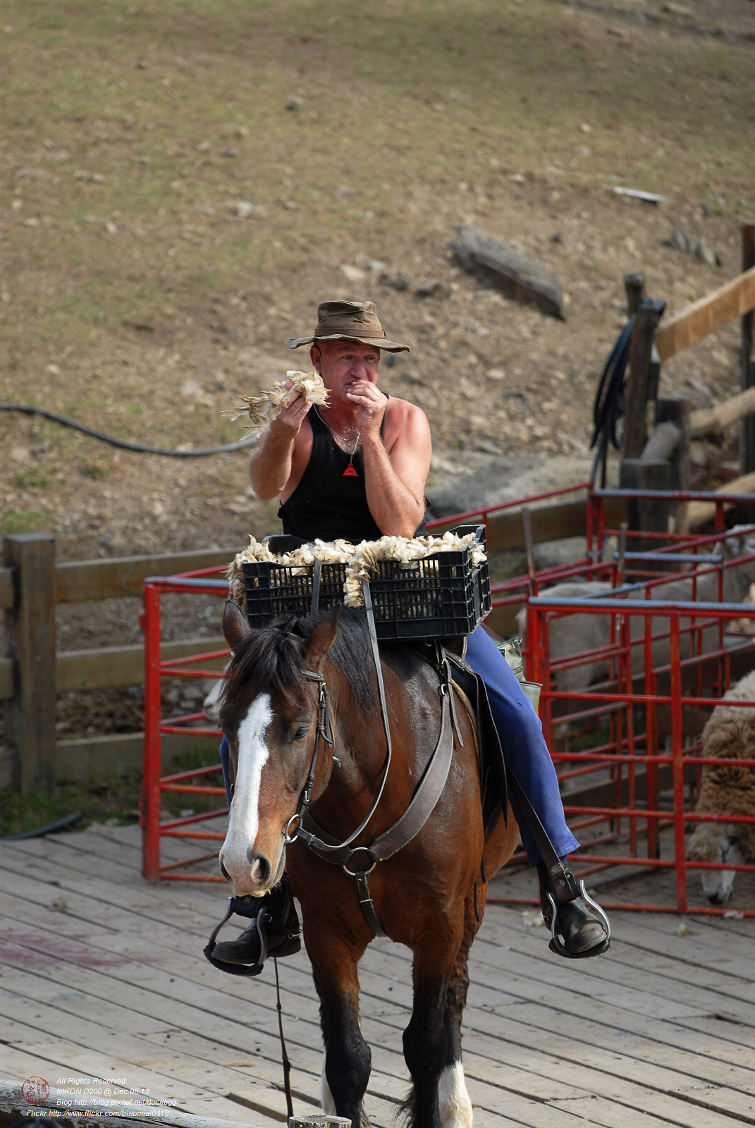 DSC_8942.jpg
