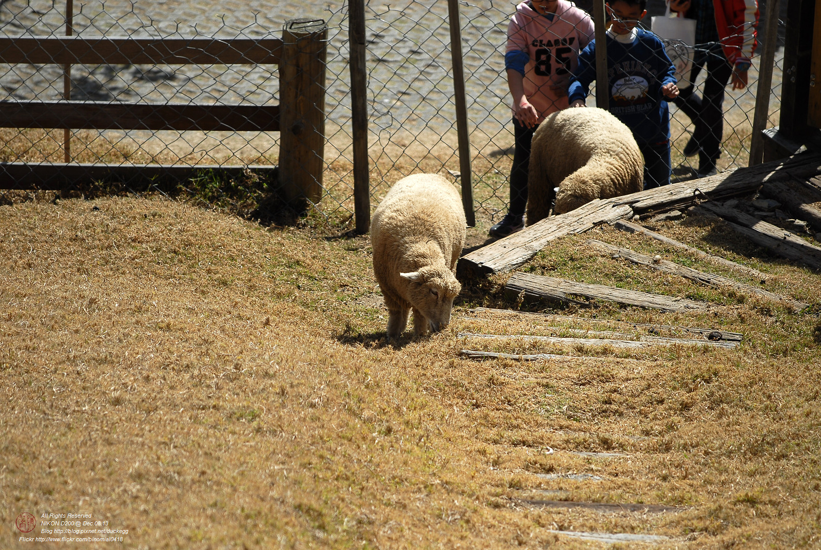DSC_9007.jpg